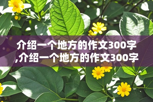 介绍一个地方的作文300字,介绍一个地方的作文300字400字