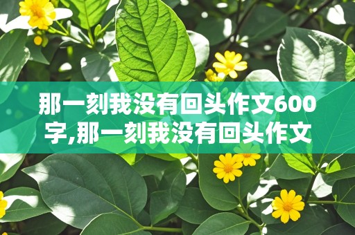 那一刻我没有回头作文600字,那一刻我没有回头作文600字初三