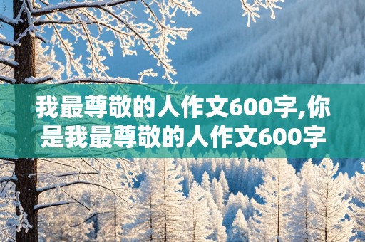 我最尊敬的人作文600字,你是我最尊敬的人作文600字