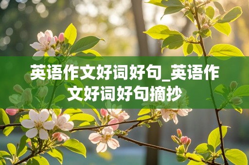 英语作文好词好句_英语作文好词好句摘抄