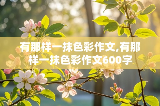 有那样一抹色彩作文,有那样一抹色彩作文600字