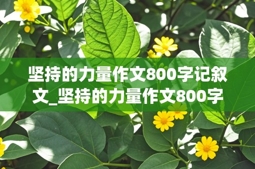 坚持的力量作文800字记叙文_坚持的力量作文800字记叙文初一