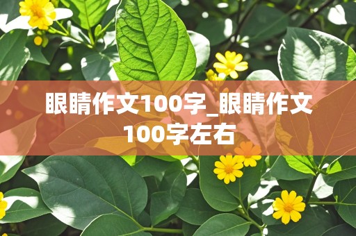 眼睛作文100字_眼睛作文100字左右