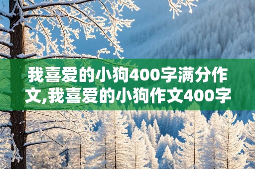 我喜爱的小狗400字满分作文,我喜爱的小狗作文400字左右