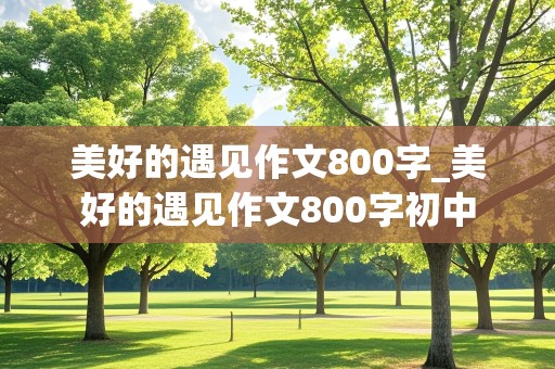 美好的遇见作文800字_美好的遇见作文800字初中