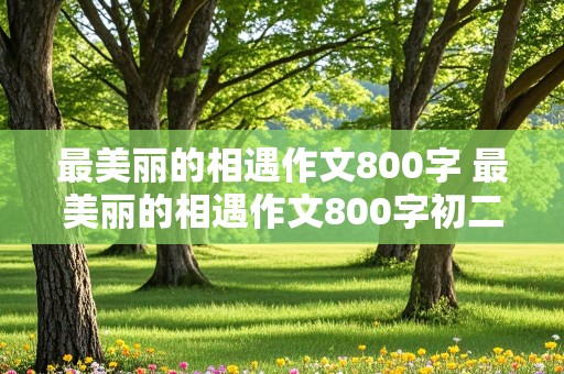 最美丽的相遇作文800字 最美丽的相遇作文800字初二