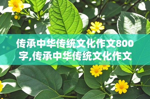 传承中华传统文化作文800字,传承中华传统文化作文800字议论文