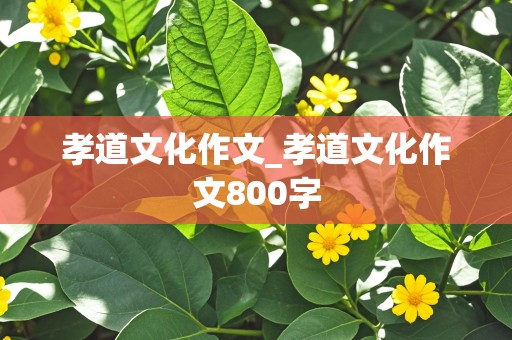 孝道文化作文_孝道文化作文800字