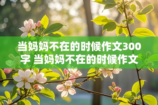 当妈妈不在的时候作文300字 当妈妈不在的时候作文300字作文