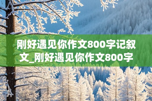 刚好遇见你作文800字记叙文_刚好遇见你作文800字记叙文初中