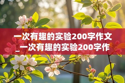 一次有趣的实验200字作文_一次有趣的实验200字作文三年级