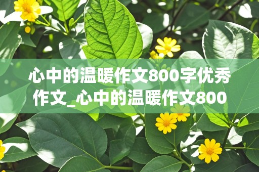 心中的温暖作文800字优秀作文_心中的温暖作文800字优秀作文大全