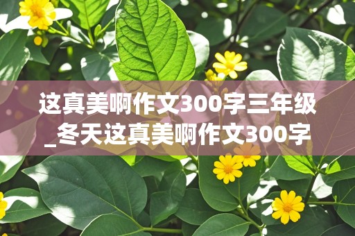 这真美啊作文300字三年级_冬天这真美啊作文300字三年级