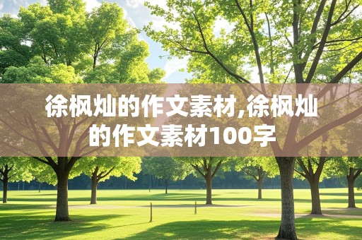 徐枫灿的作文素材,徐枫灿的作文素材100字