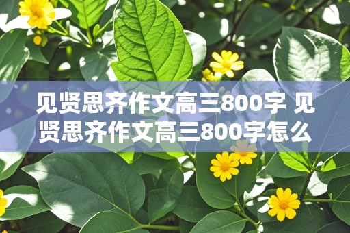 见贤思齐作文高三800字 见贤思齐作文高三800字怎么写