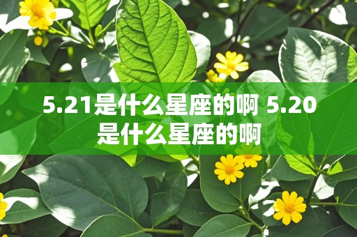 5.21是什么星座的啊 5.20是什么星座的啊