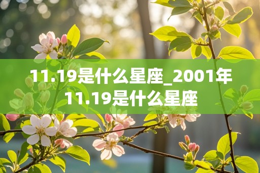 11.19是什么星座_2001年11.19是什么星座