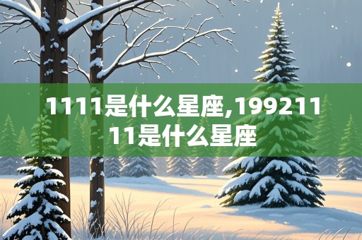 1111是什么星座,19921111是什么星座