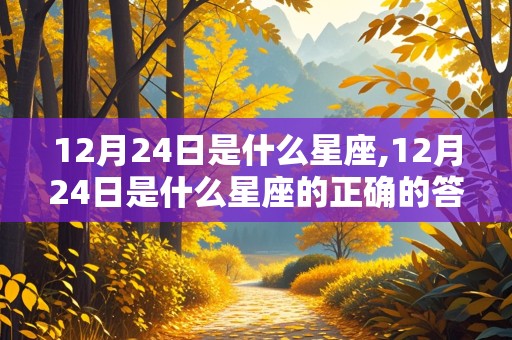 12月24日是什么星座,12月24日是什么星座的正确的答案