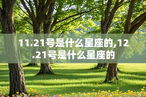 11.21号是什么星座的,12.21号是什么星座的