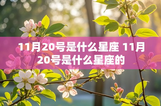 11月20号是什么星座 11月20号是什么星座的