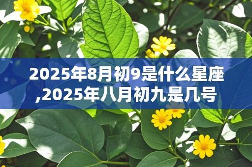 2025年8月初9是什么星座,2025年八月初九是几号