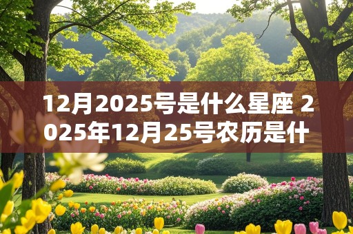 12月2025号是什么星座 2025年12月25号农历是什么?