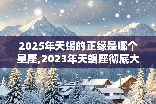 2025年天蝎的正缘是哪个星座,2023年天蝎座彻底大爆发