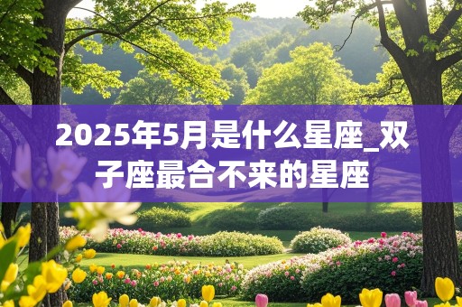 2025年5月是什么星座_双子座最合不来的星座