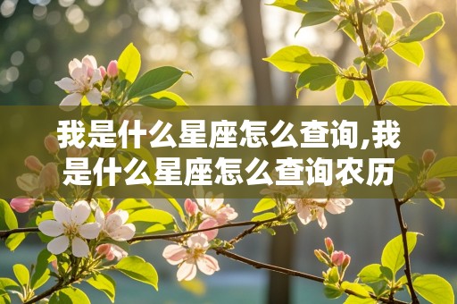 我是什么星座怎么查询,我是什么星座怎么查询农历