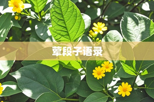 荤段子语录