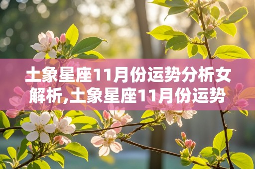 土象星座11月份运势分析女解析,土象星座11月份运势分析女解析最新