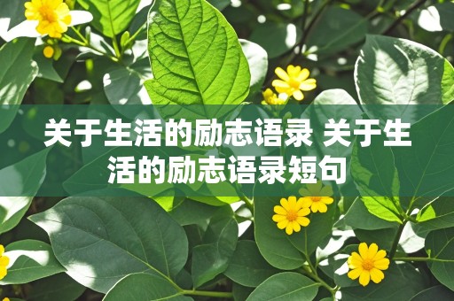 关于生活的励志语录 关于生活的励志语录短句