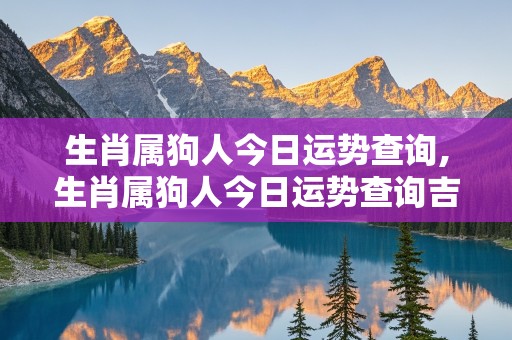 生肖属狗人今日运势查询,生肖属狗人今日运势查询吉凶