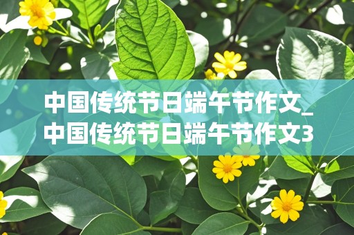 中国传统节日端午节作文_中国传统节日端午节作文300字