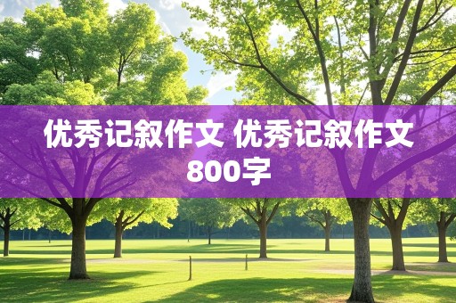 优秀记叙作文 优秀记叙作文800字