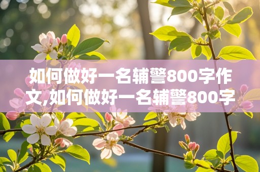 如何做好一名辅警800字作文,如何做好一名辅警800字作文题目