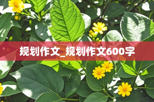 规划作文_规划作文600字