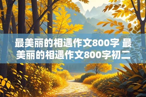 最美丽的相遇作文800字 最美丽的相遇作文800字初二