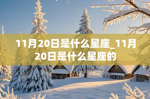 11月20日是什么星座_11月20日是什么星座的