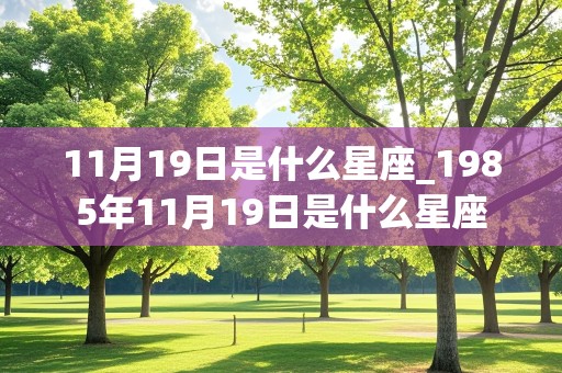 11月19日是什么星座_1985年11月19日是什么星座