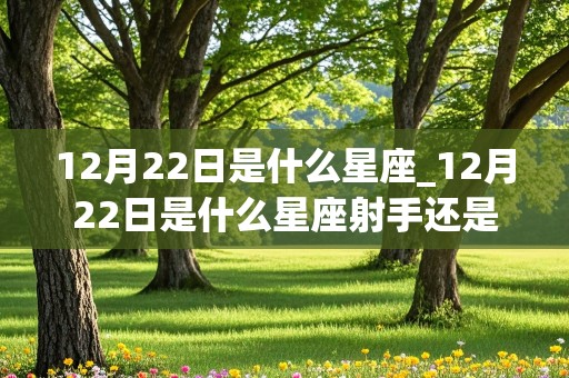 12月22日是什么星座_12月22日是什么星座射手还是摩羯