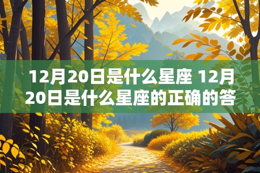 12月20日是什么星座 12月20日是什么星座的正确的答案