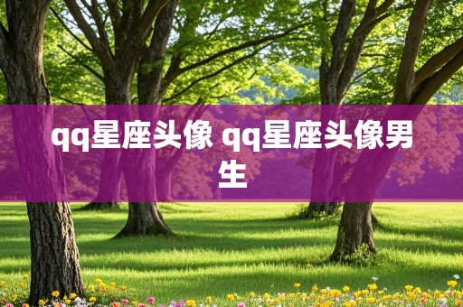 qq星座头像 qq星座头像男生