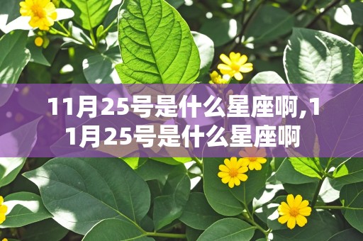 11月25号是什么星座啊,11月25号是什么星座啊