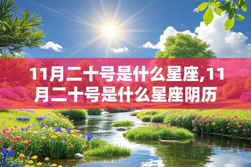 11月二十号是什么星座,11月二十号是什么星座阴历