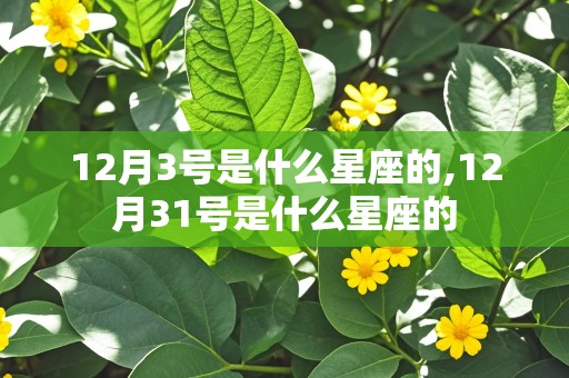 12月3号是什么星座的,12月31号是什么星座的