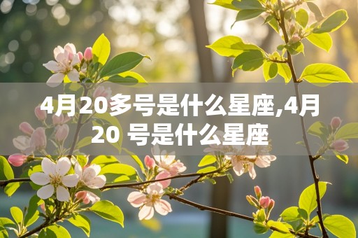 4月20多号是什么星座,4月20 号是什么星座