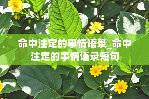 命中注定的事情语录_命中注定的事情语录短句