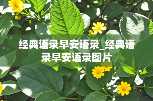 经典语录早安语录_经典语录早安语录图片